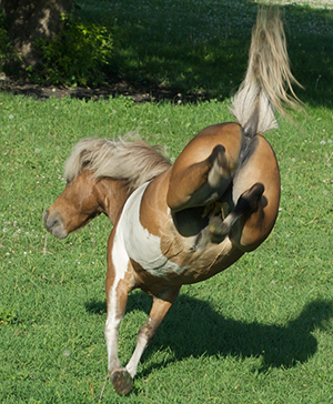 Award-winning golf academy provides private and group instruction for beginners, advanced, and PGA players.